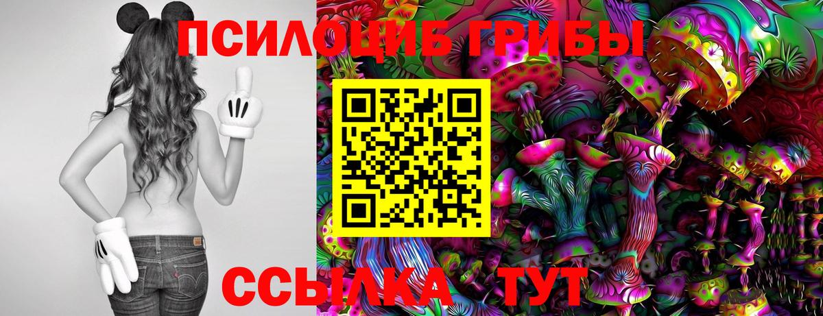 Псилоцибиновые грибы Psilocybine cubensis Кузнецк