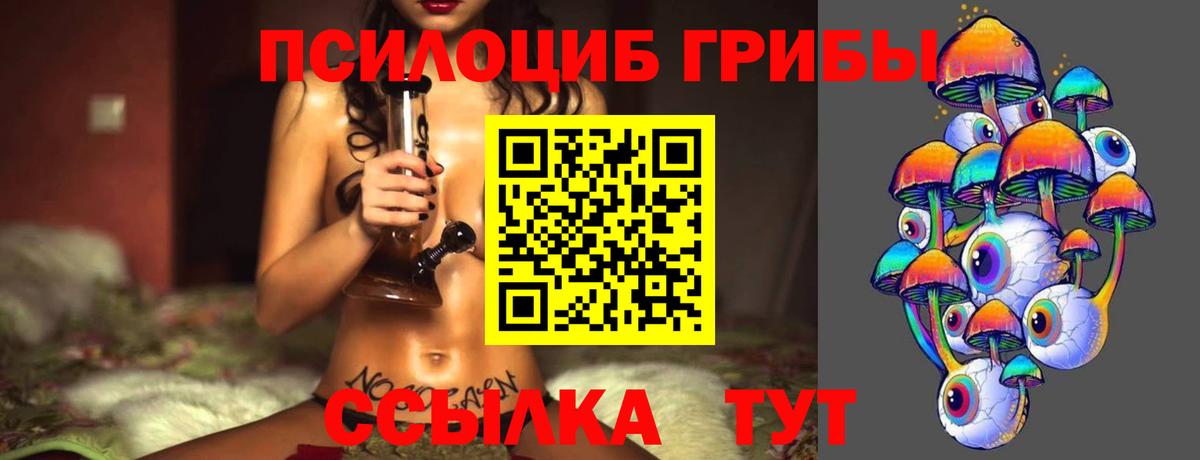Кузнецк  где продают   Вход с VPN  Псилоцибиновые грибы MAGIC MUSHROOMS  Галлюциногенные грибы Magic Shrooms 